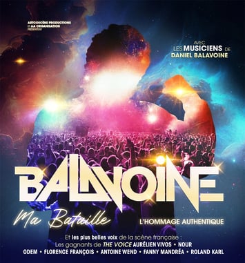 Balavoine, ma bataille