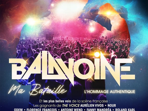 Balavoine, ma bataille