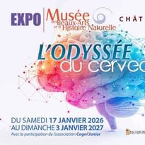 L'odyssée du cerveau