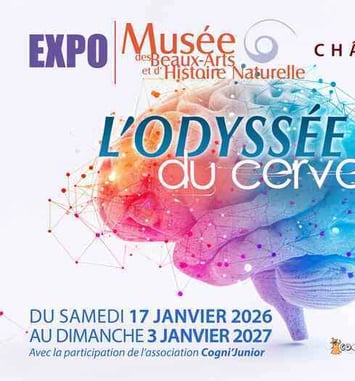 L'odyssée du cerveau