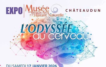 L'odyssée du cerveau
