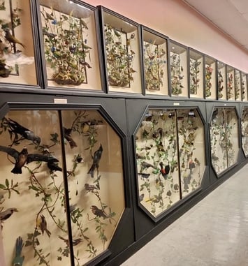 Visite des collections permanentes