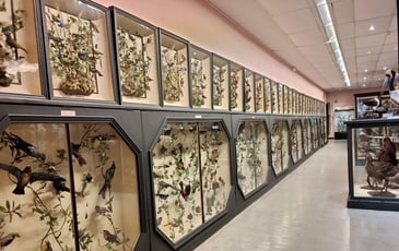 Visite des collections permanentes