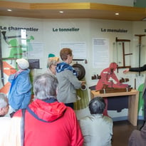 Visite guidée du Centre d'interprétation de la Forêt