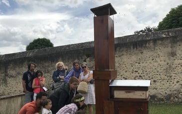 Animation "Api hour", Découverte des abeilles noires