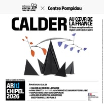 Visite du musée : collections permanentes et exposition temporaire Calder
