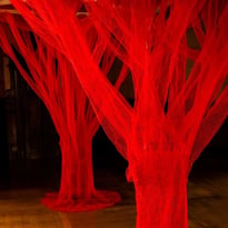 Visite conférence autour de l'œuvre de Shigeko Hirakawa