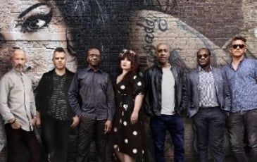 The Amy Winehouse Band