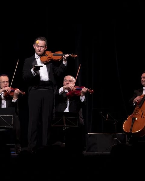 Mozart Group